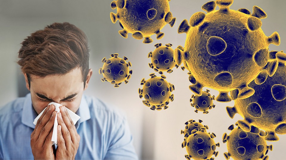 Novel coronavirus may resemble common cold in future, scientists predict